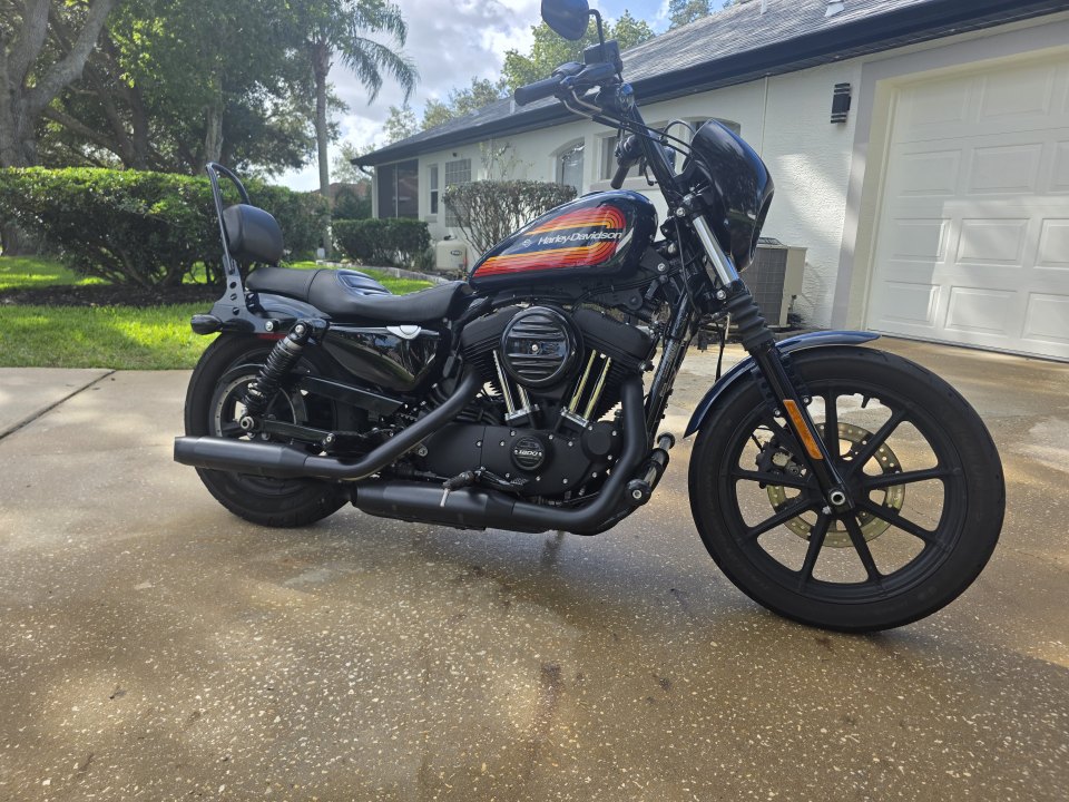 2019 Harley Davidson Sportster